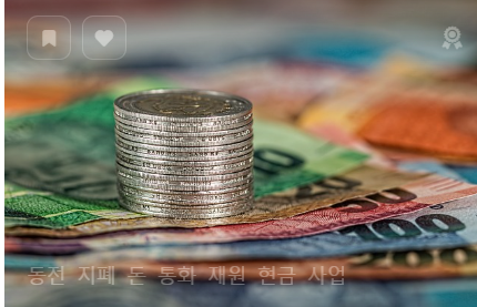 안심소득 