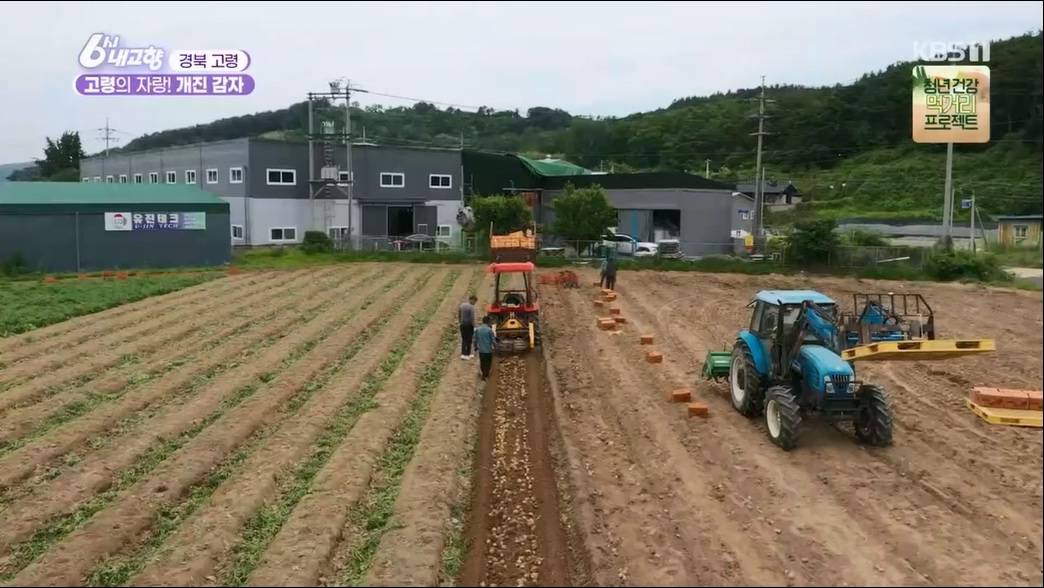 6시 내고향.E7806.230613p.H264-F1RST.mp4_20230614_205838.978.jpg