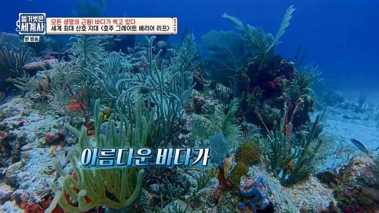 벌거벗은 세계사.E90.230315p-NEXT.mp4_20230419_212550.404.jpg