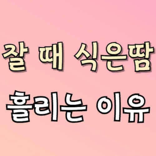 잘 때 식은땀 흘리는 이유