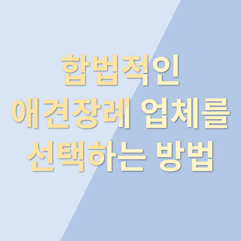 애견장례_2