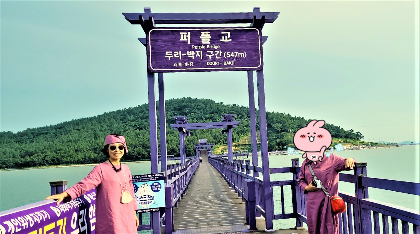 신안통신 이미지