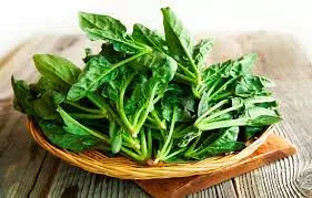 시금치(Spinach)