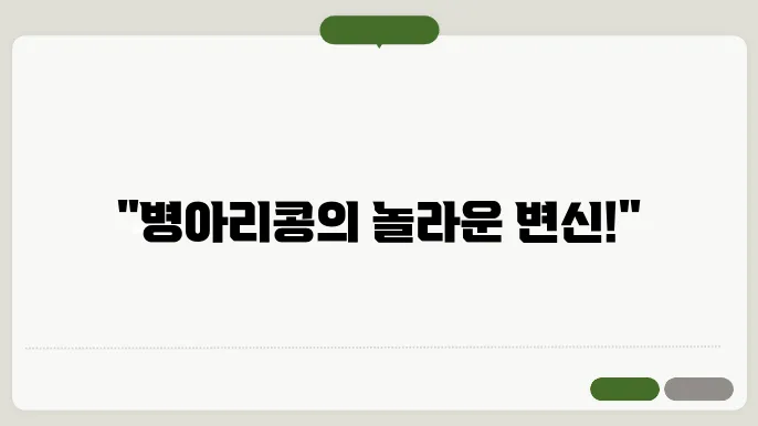 병아리콩 효능 부작용 요리법