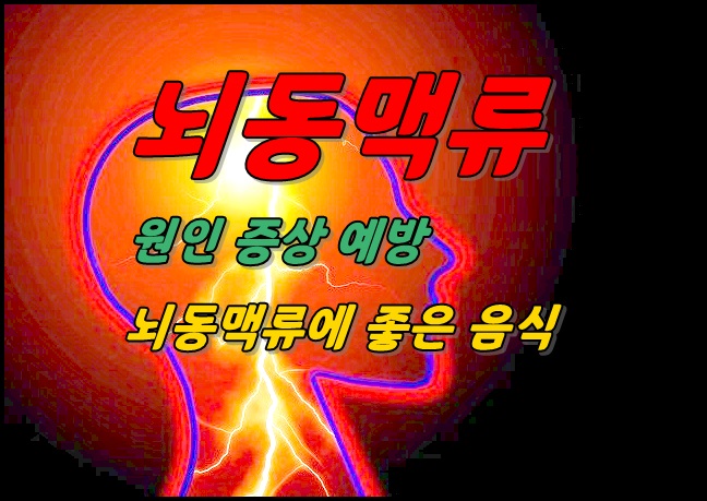  뇌동맥류 증상 원인 및 좋은 음식 - 민병헌 선수 뇌동맥류 수술