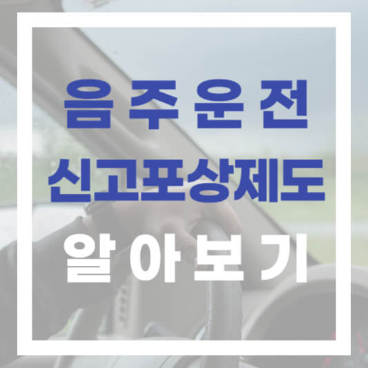  [제주] 음주운전 신고 포상금 금액 신청방법 알아보기