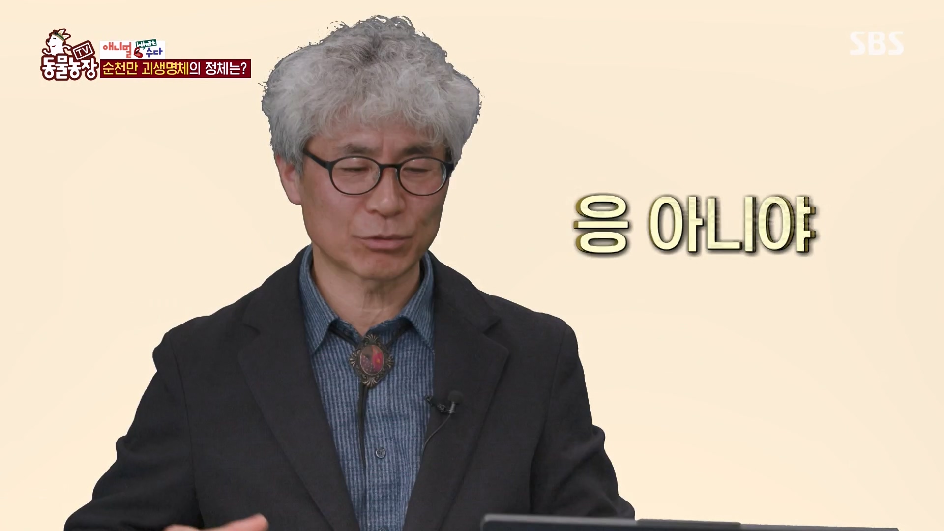 TV 동물농장.E1164.240324p-NEXT.mp4_20240324_172340.449.jpg