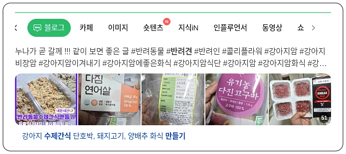 반려견 수제 간식 만들기_1_subsection
