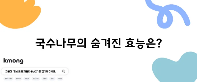 국수나무의 10가지 효능과 주의할 부작용을 알아보자