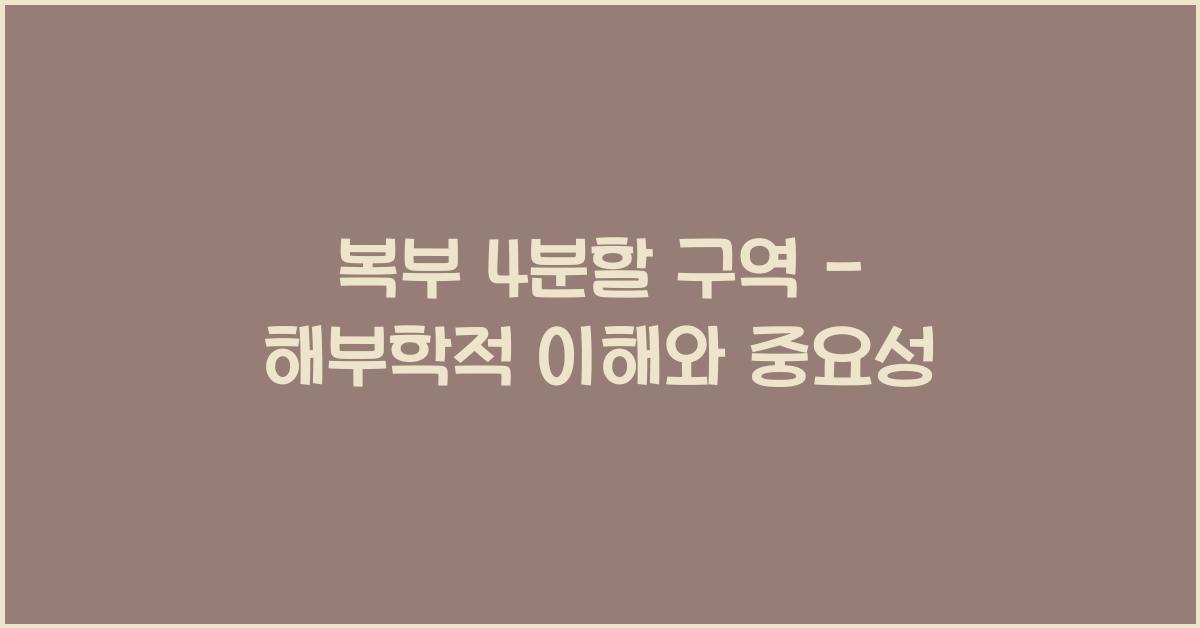 복부 4분할 구역