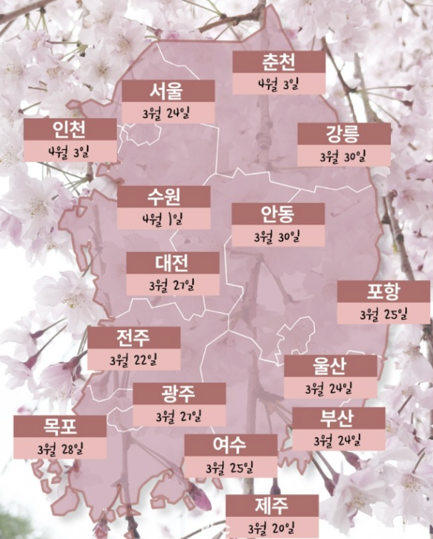 2024년 벚꽃 개화시기&#44; 만개시기&#44; 벚꽃 축제