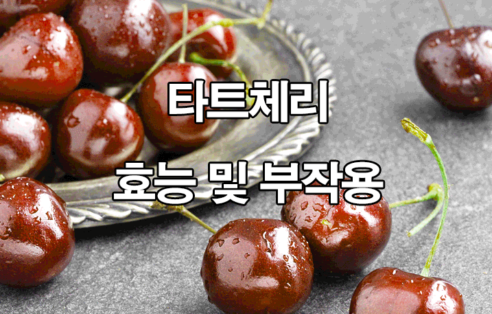  타트체리 효능 및 부작용