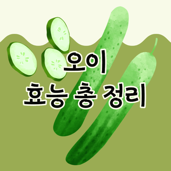 오이 다이어트 칼로리 보관방법 9