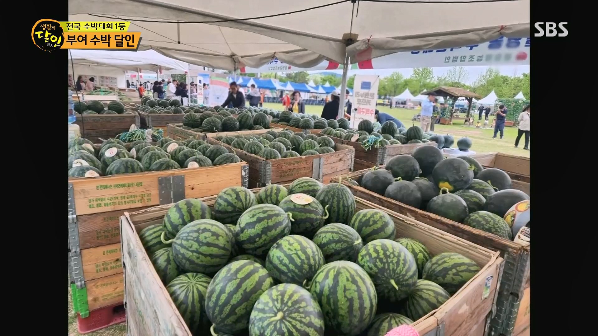 생활의 달인.E939.240610p.H264-F1RST.mp4_20240611_194021.319.jpg