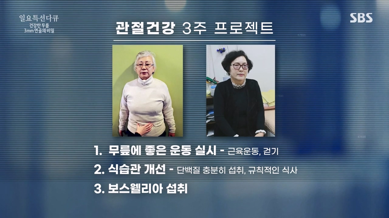일요특선 다큐멘터리.E341.240318p-NEXT.mp4_20240317_190309.137.jpg