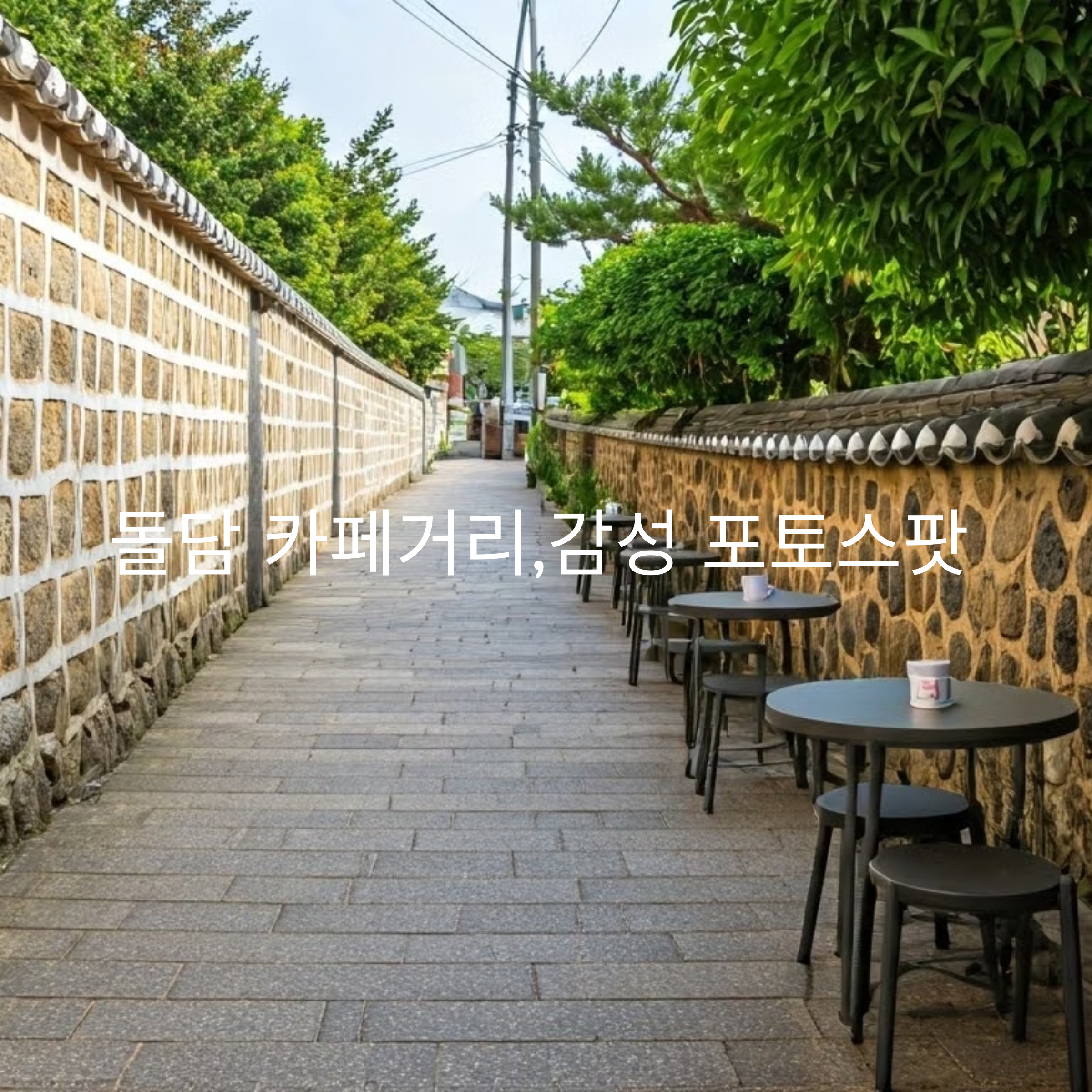 제주 돌담 카페거리 포토스팟