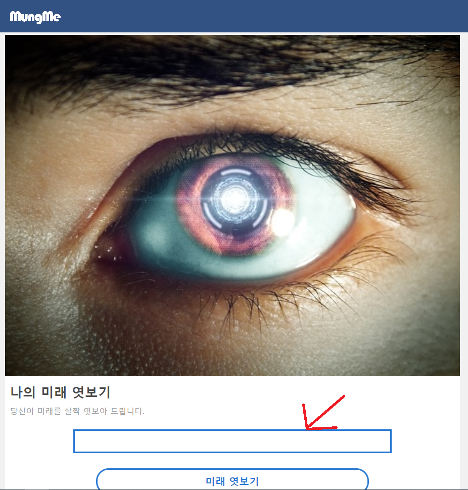  재미삼아 한 번 해보는 '나의 미래 엿보기'