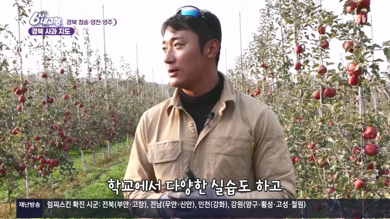 6시 내고향.E7907.231108p.H264-F1RST.mp4_20231108_204440.321.jpg