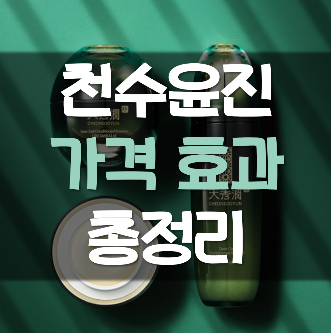  천수윤진 가격 효과