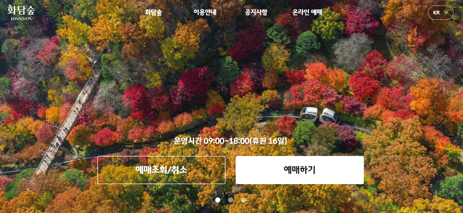  10월 말 가을 국내 단풍축제 가족들과 단풍축제 핑크뮬리 명소 단풍명소 화담숲 베어트리파크