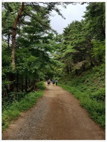 아름다운 한국 둘레길 소개_21