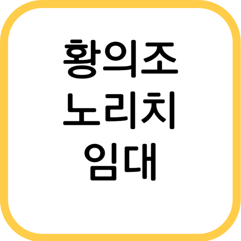 황의조 EPL 노리치 시티