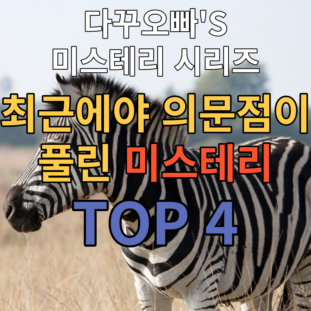  14. 최근에서야 의문점이 풀린 미스테리 TOP4