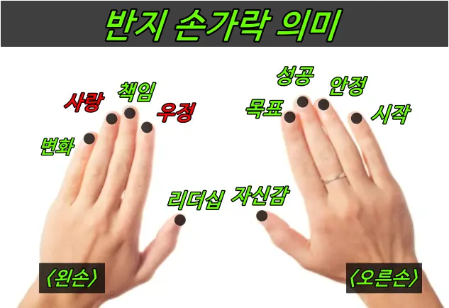 반지 손가락 의미(왼손)