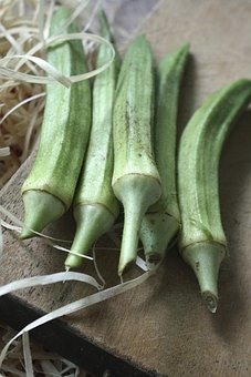 오크라 혜택
