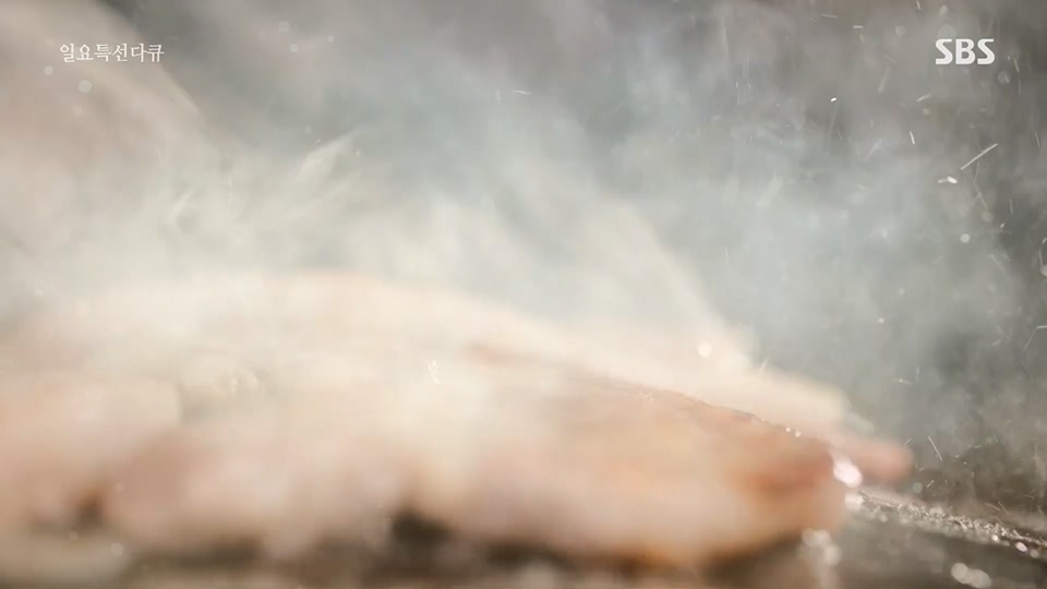 일요 특선 다큐멘터리.E315.230716p.H264-F1RST.mp4_20230717_210608.201.jpg