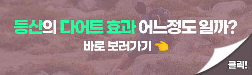 바로가기 배너