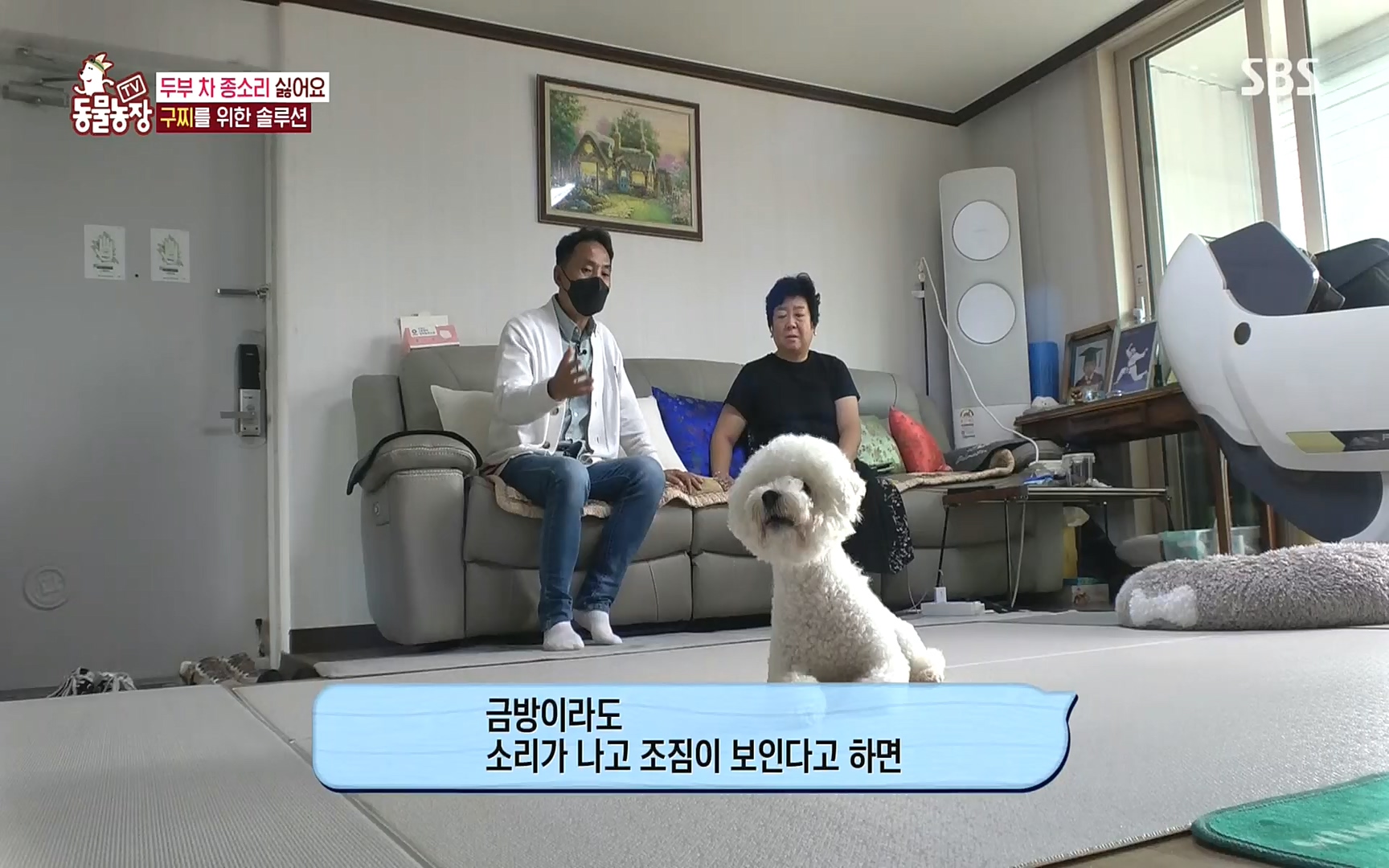 TV 동물농장.E1089.221002p.H264-F1RST.mp4_20221002_181943.544.jpg