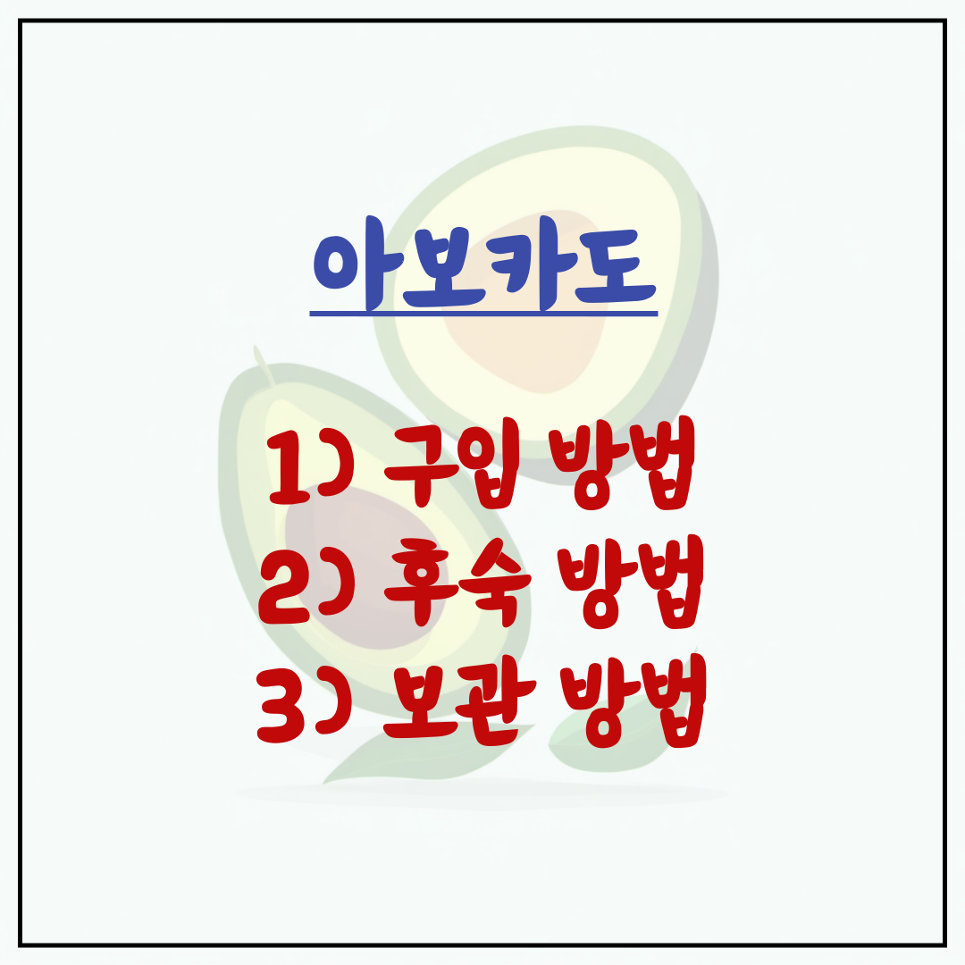  아보카도 보관법 후숙 및 구입법