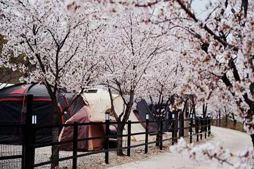 삼척엘림캠핑장