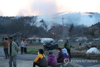 홍성 대전 산불