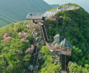 대봉산 모노레일