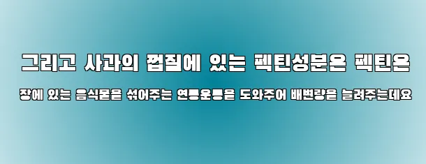  그리고 사과의 껍질에 있는 펙틴성분은 펙틴은 장에 있는 음식물을 섞어주는 연동운동을 도와주어 배변량을 늘려주는데요
