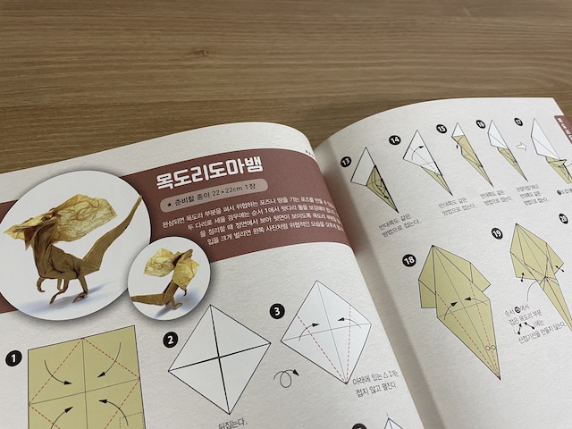 놀라운리얼종이접기-목도리도마뱀