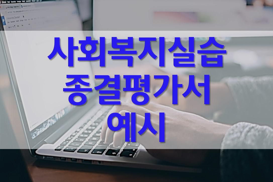  사회복지 실습 종결평가서/ 장애인복지관
