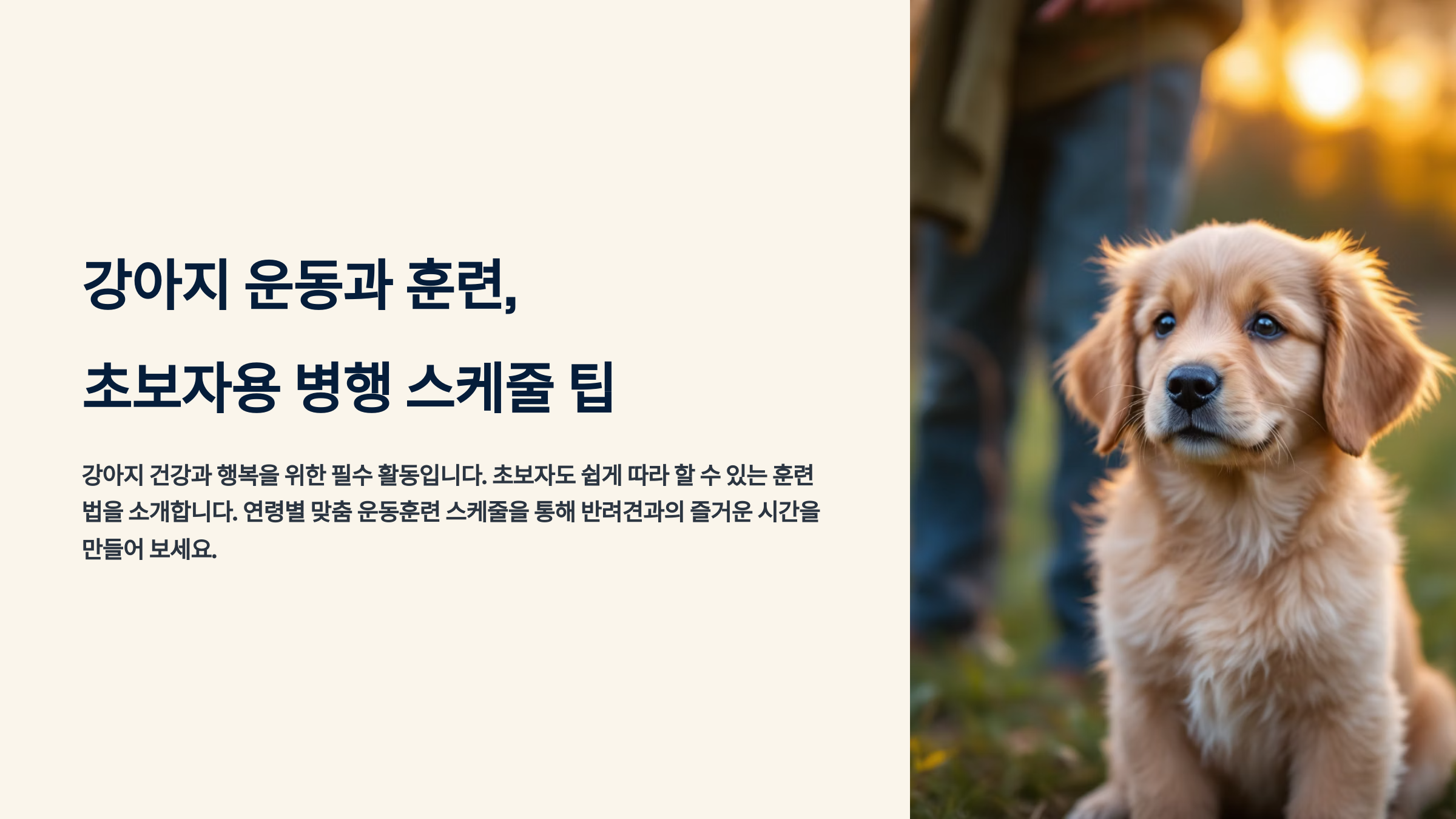 강아지 운동과 훈련, 초보자용 병행 스케줄 팁