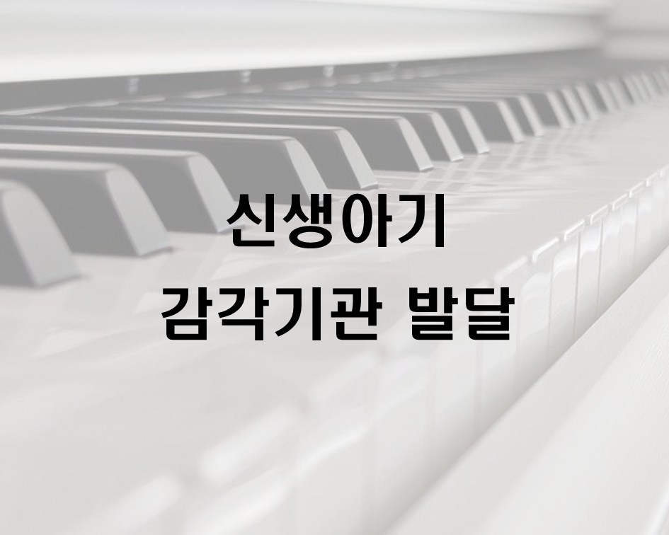  신생아기 감각기관의 발달