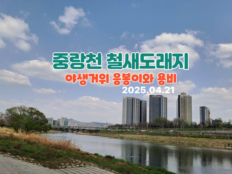 중랑천-쌤네일