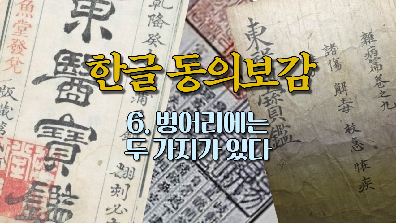  6. 벙어리에는 두 가지가 있다 (내경편 목소리)