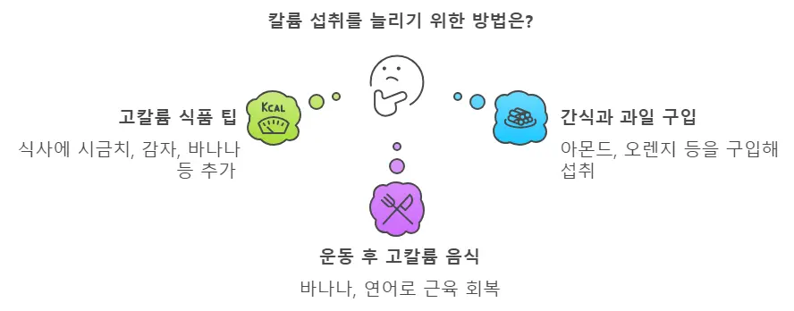 칼륨 섭취방법