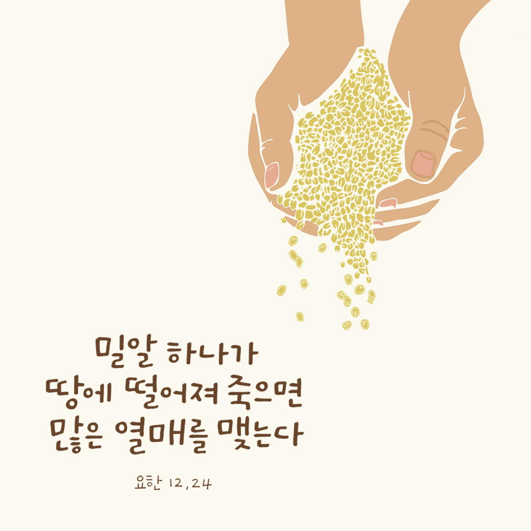 밀알 하나가 땅에 떨어져 죽으면 많은 열매를 맺는다. (요한 12,24) by 피어나네 성경 말씀 카드 성경구절 이미지