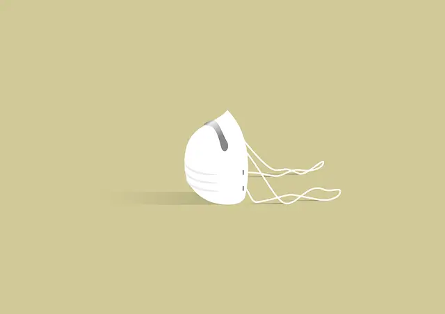 니파바이러스 