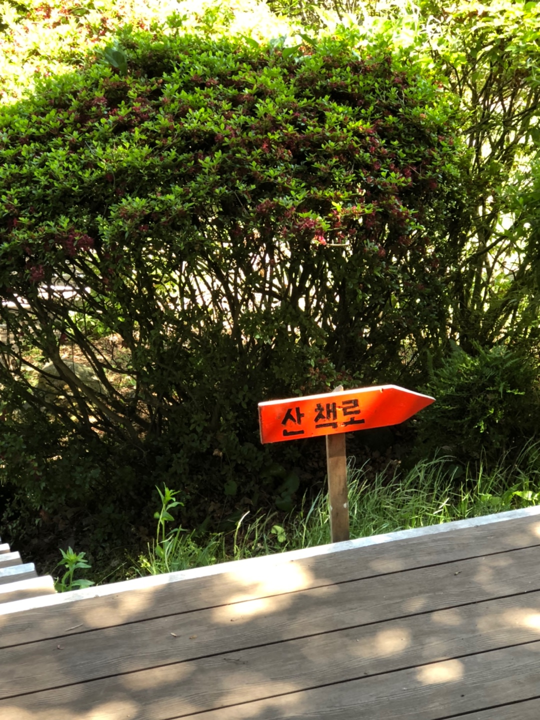 산책로-팻말