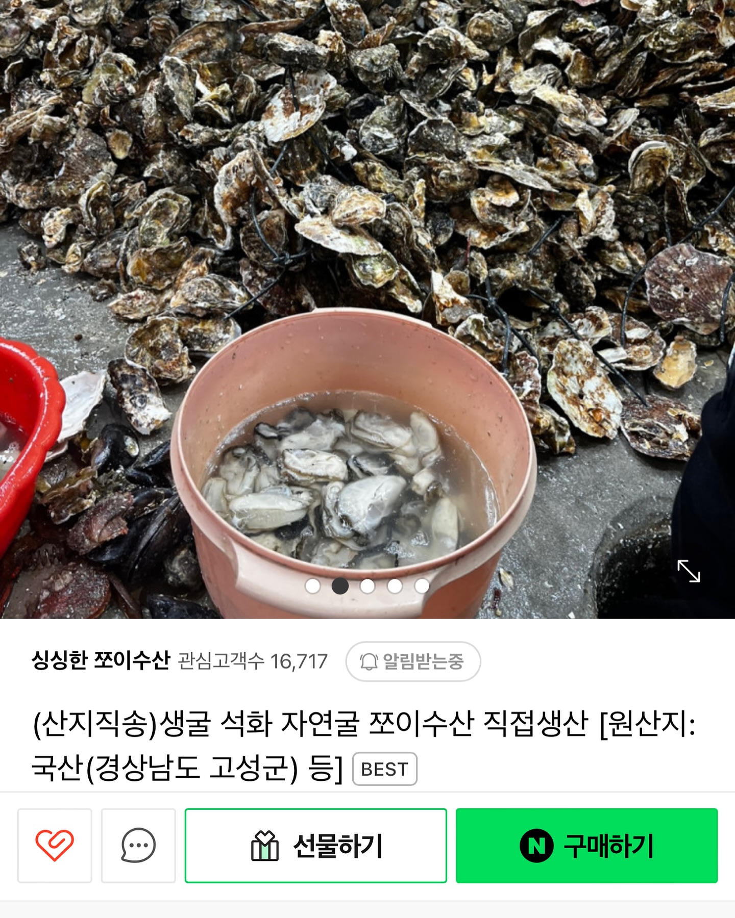 고성 쪼이수산 음식