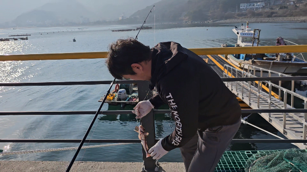 거제 고촌방파제 성대 히트
