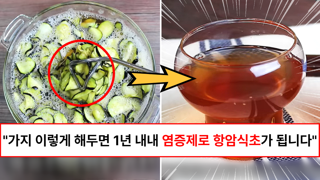 “가지 쌀때 많이 만들어 두세요” 항암, 골다공증 예방, 시력보호, 고혈압, 몸속 염증제거 등 밥상위의 보약 가지식초 레시피 “가지 쌀때 많이 만들어 두세요” 항암, 골다공증 예방, 시력보호, 고혈압, 몸속 염증제거 등 밥상위의 보약 가지식초 레시피